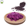 Best selling products maqui berry powder organic